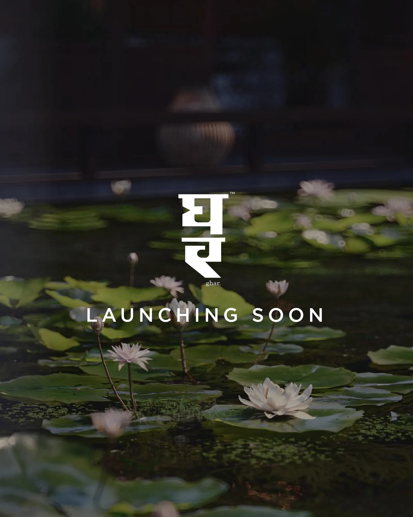 The Ghar logotype set over a lily pond for the launch teaser
