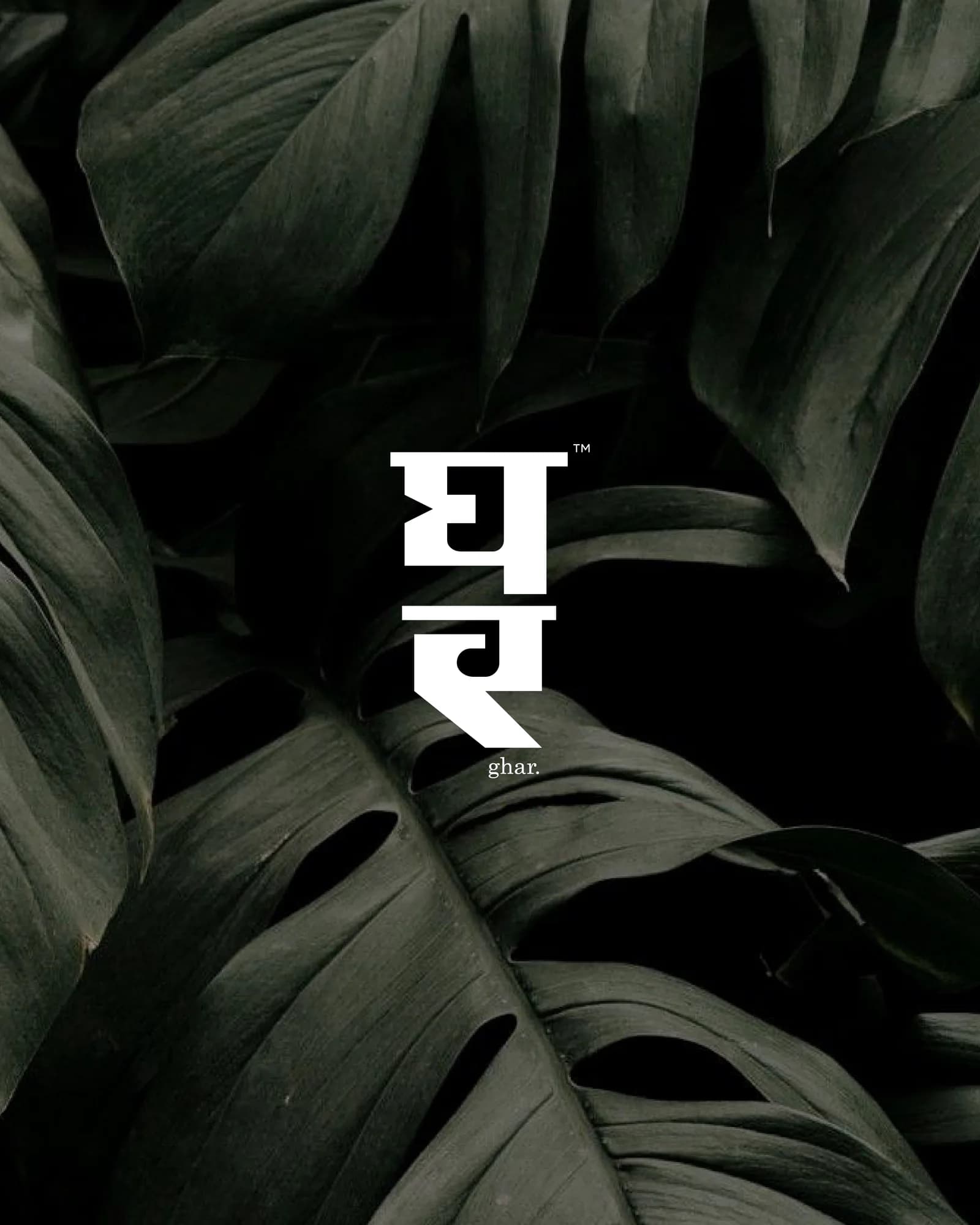 The Ghar logotype set over dark monstera leaves